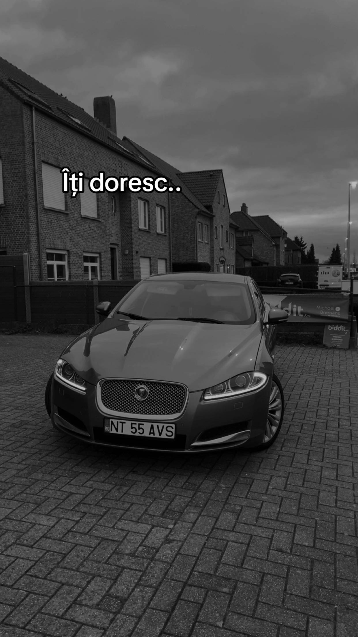 @Stefan Vasile