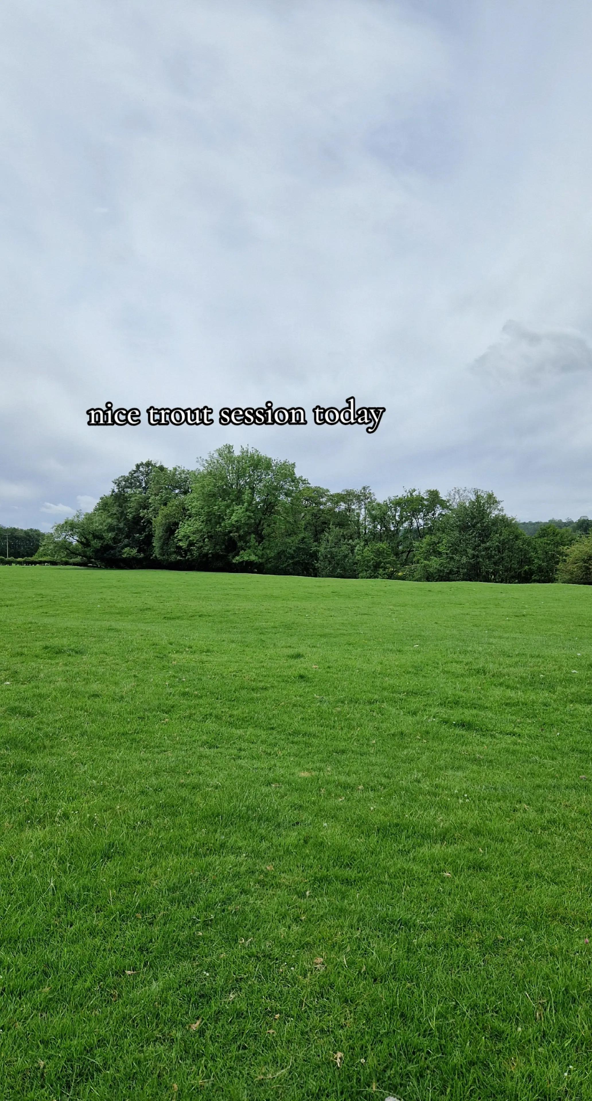 @Carpy Brez