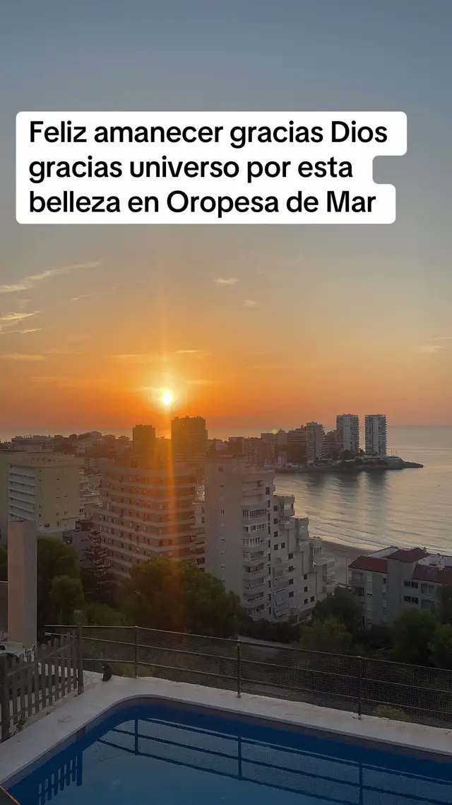 @Carmen Tom&aacute;s 13