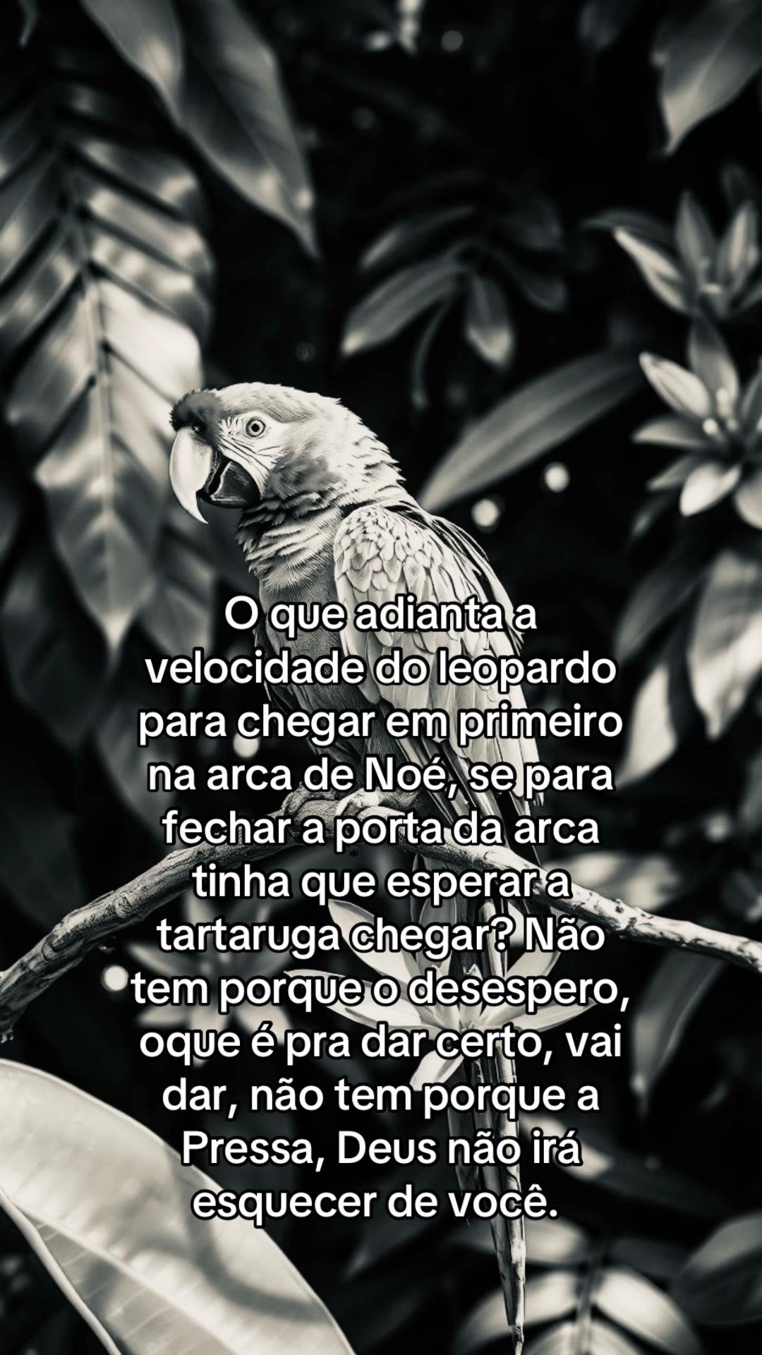 @junin 