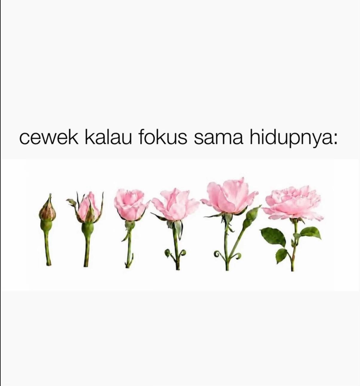 @Fajrinaw ✧