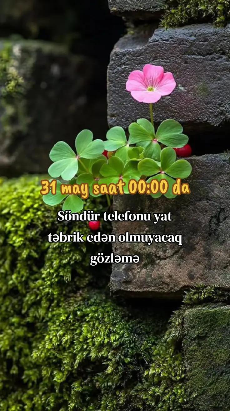 @๐ฌ ๐บ ๐ณ ๐ฆ ๐พ ๐ฝ ๐ฉ