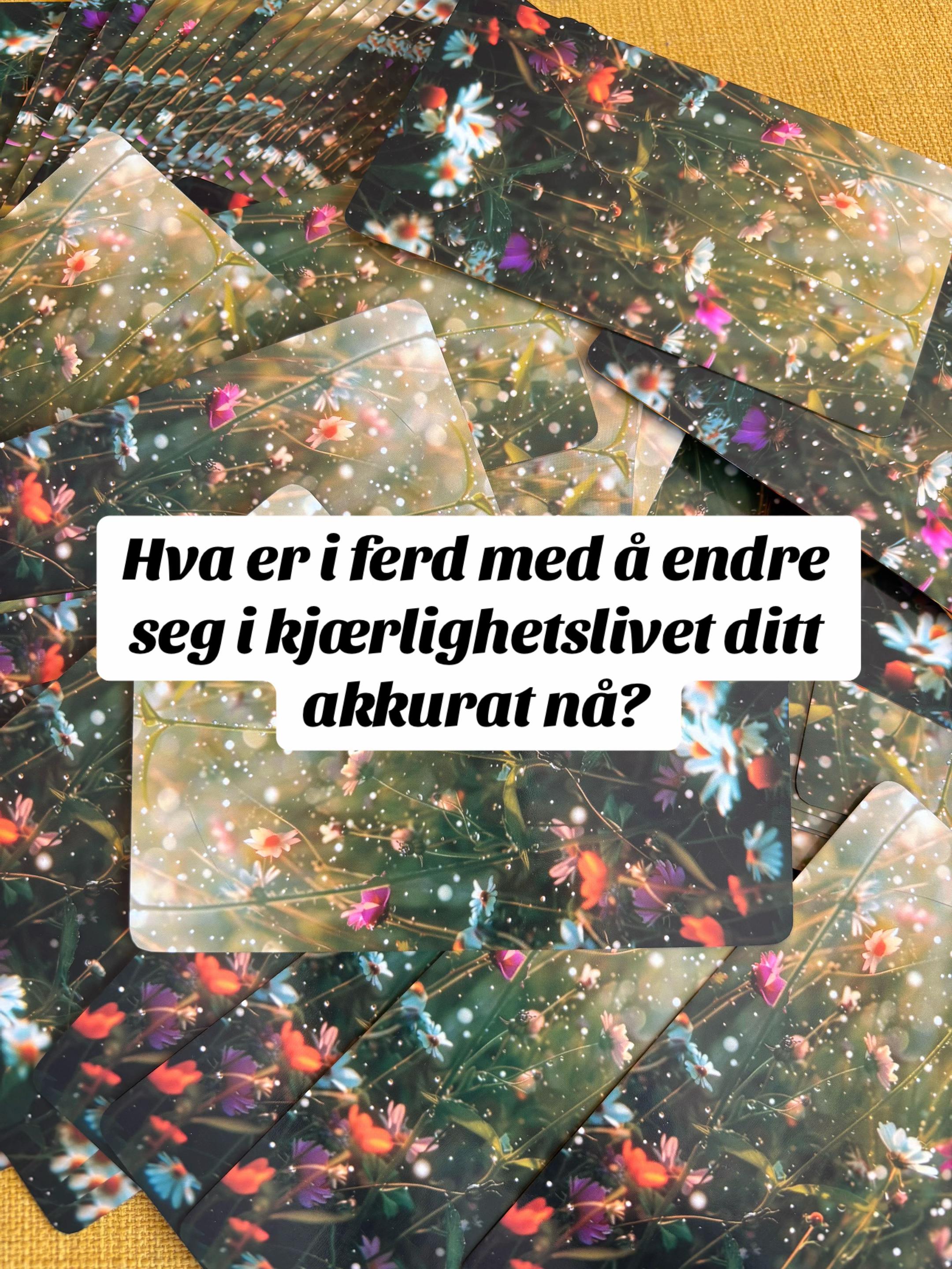 @Emeli.Torvund