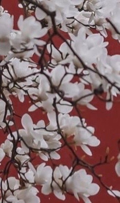 @нσтσrι’ѕ gια 🪭❤️