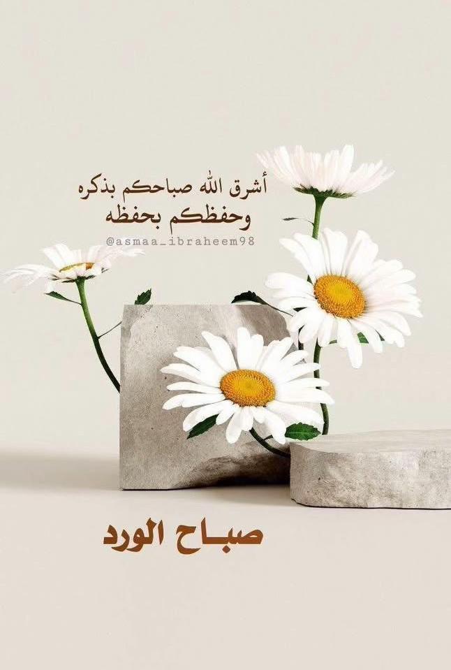 @محمد ملكاوي