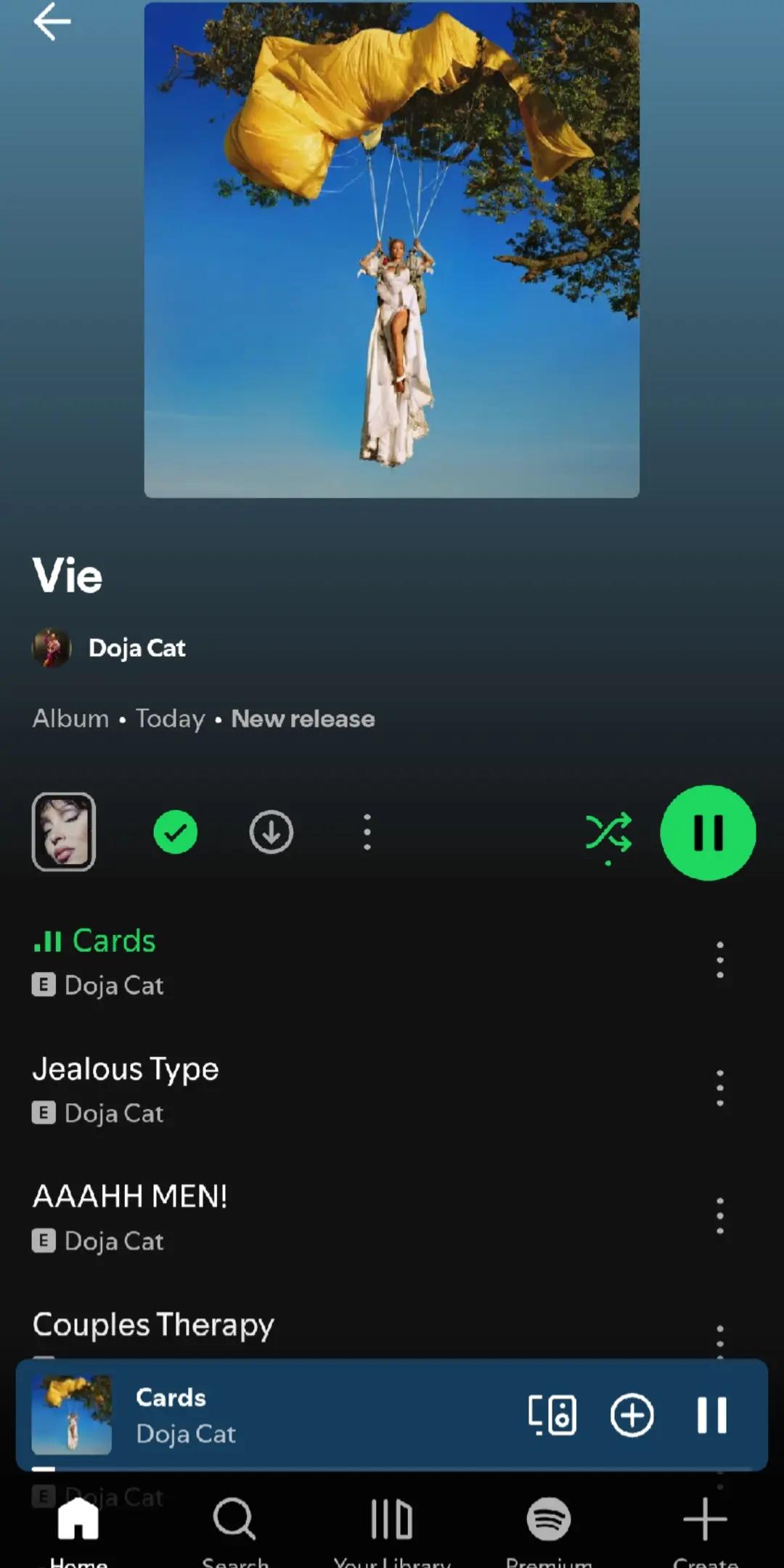@brawlcatt