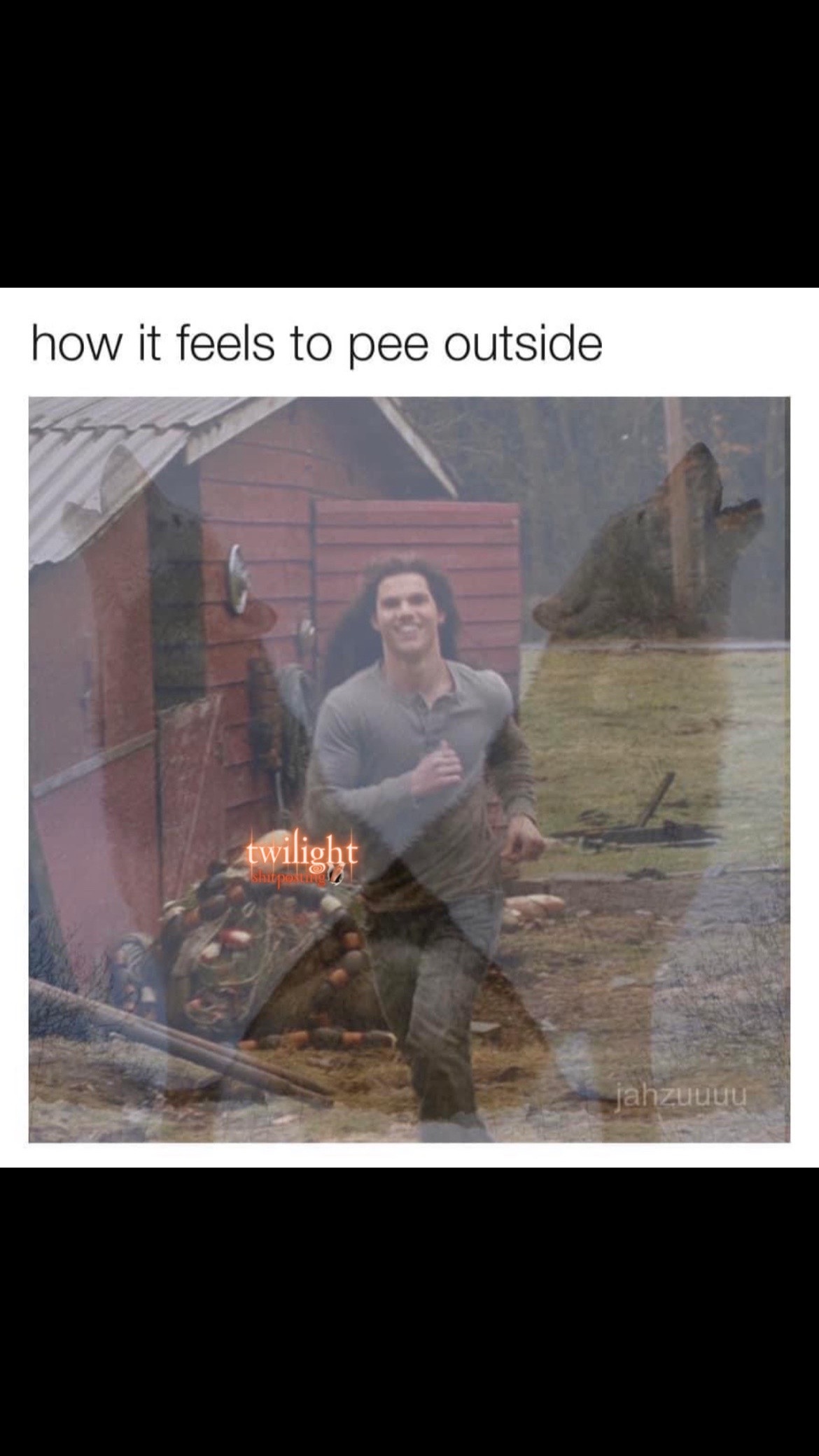 @📚 Twilight Shitposting💿