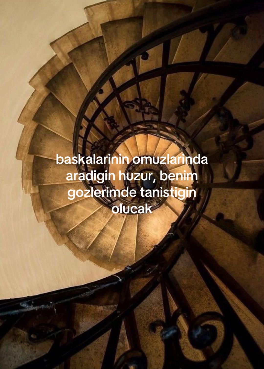 @user333798