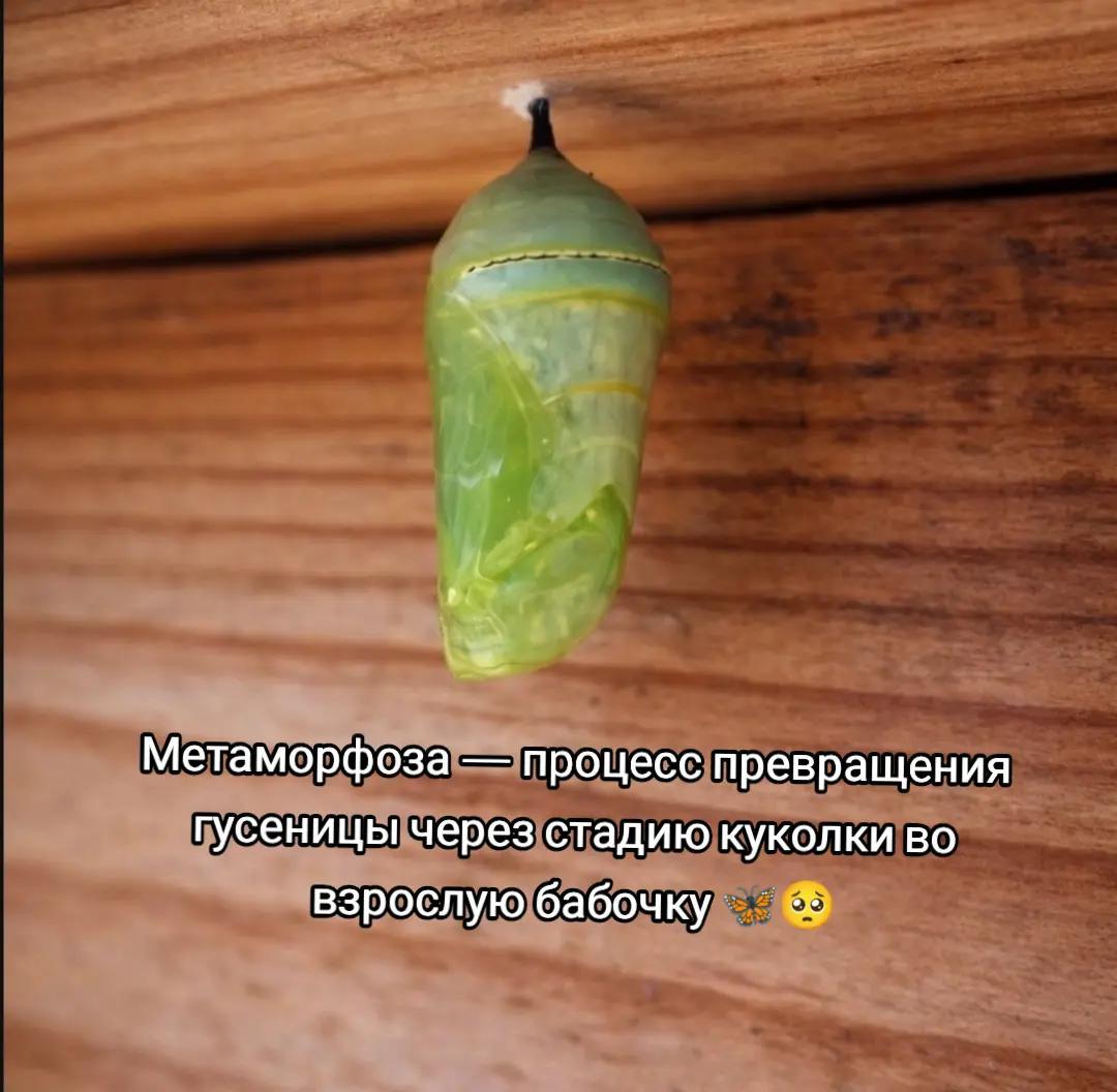 @Ingvarok