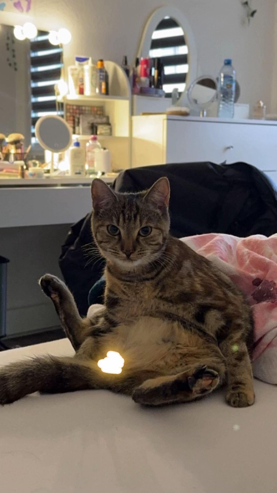 @𝓏ℴℯ