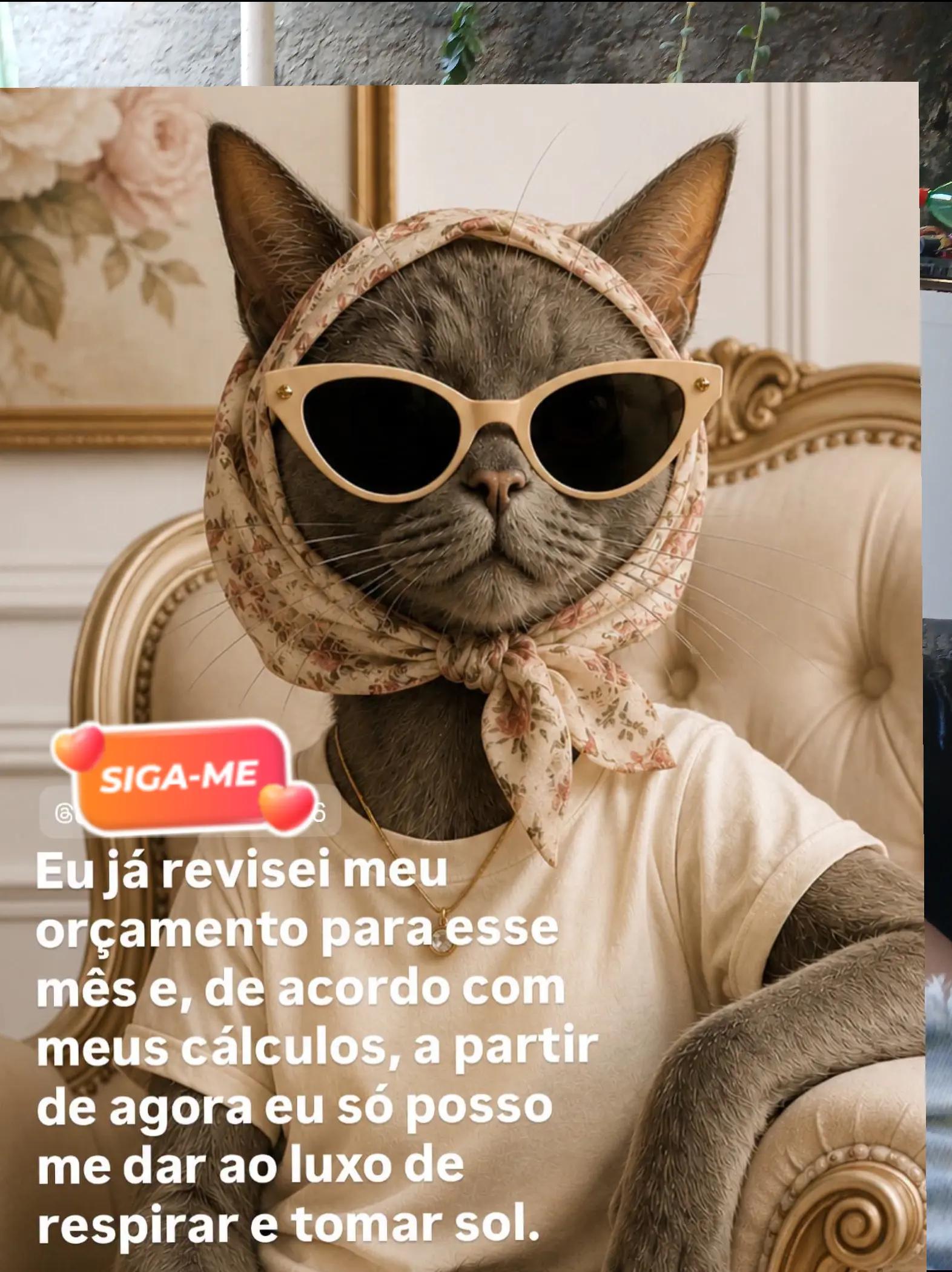 @humor da Célia 🤣