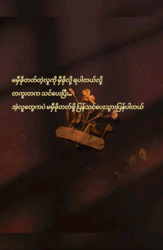 @⭐Daw Aye Moe⭐(ဧရာဝတီတိုင်းသူ)