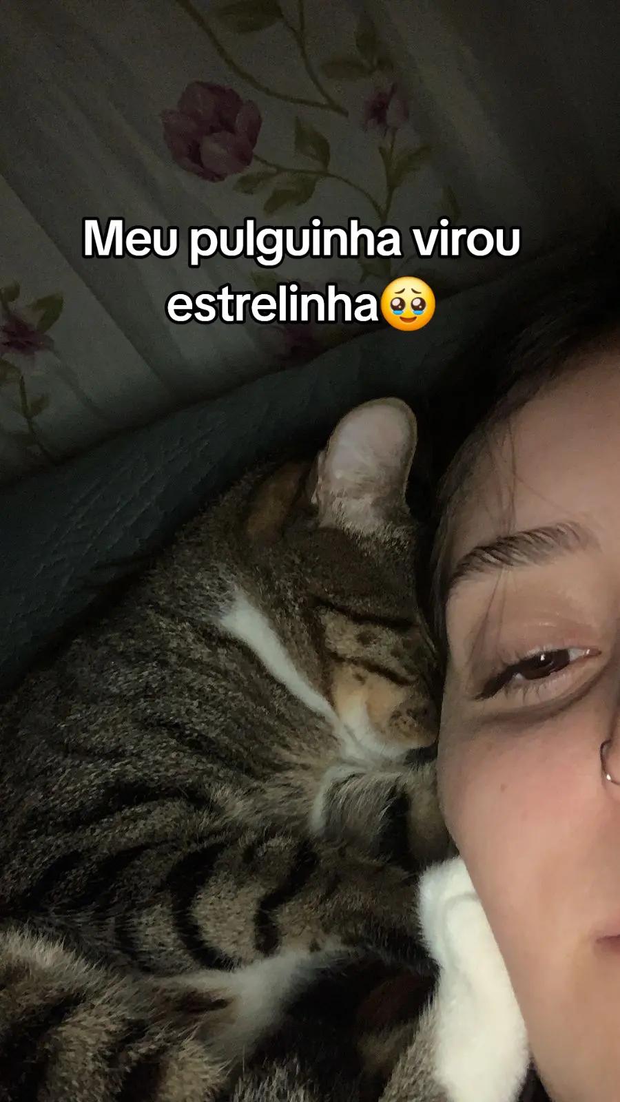@Luci