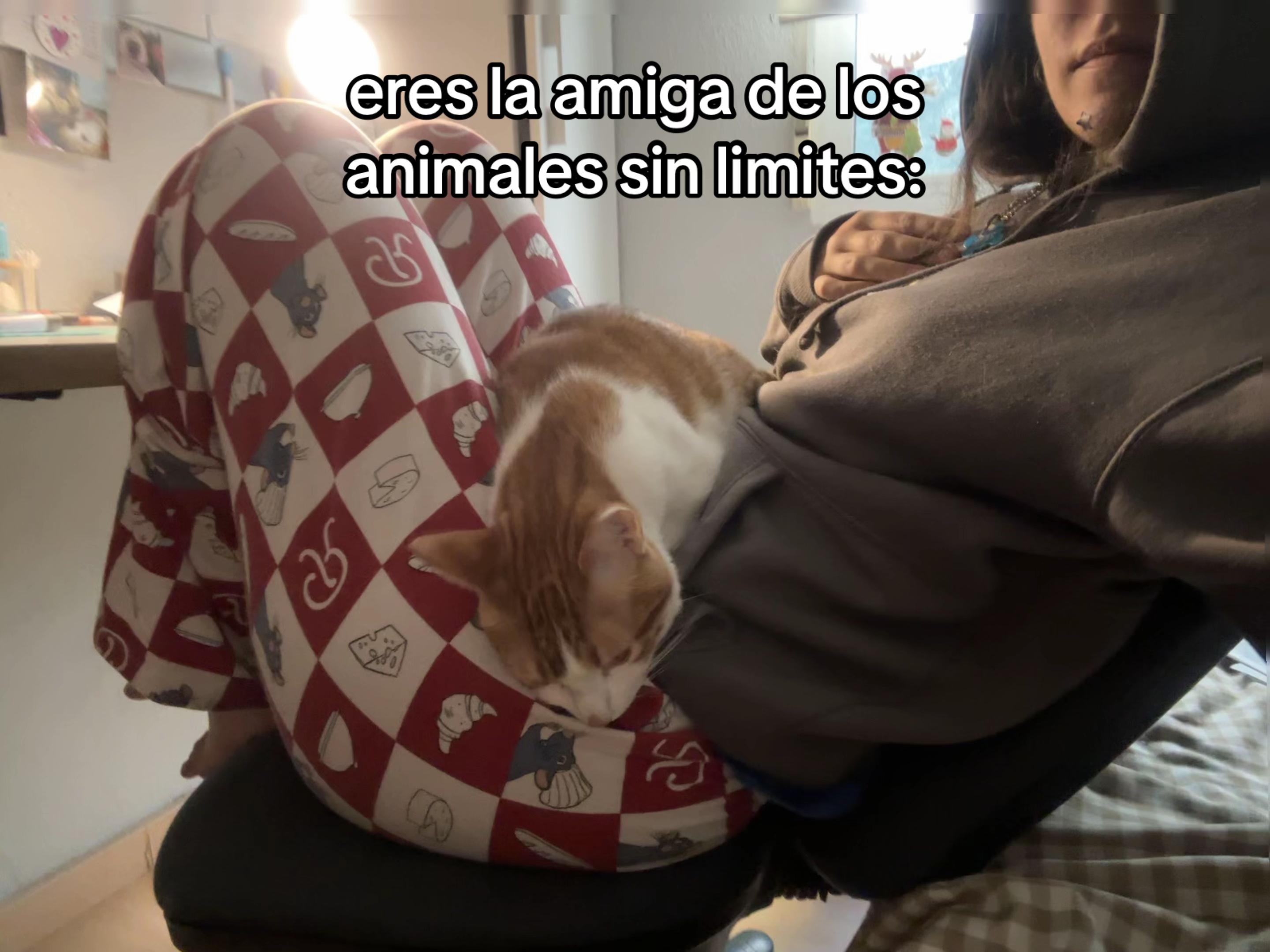 @iriis