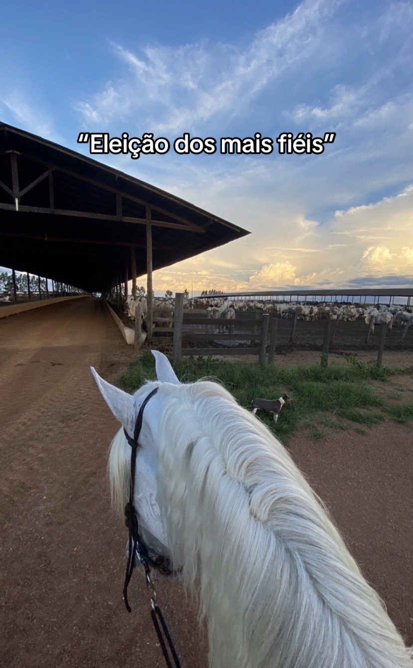 @Vitória Rufino