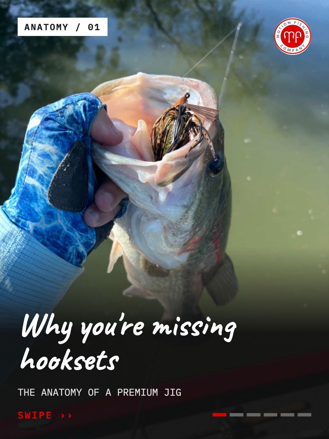 @Motion Fishing