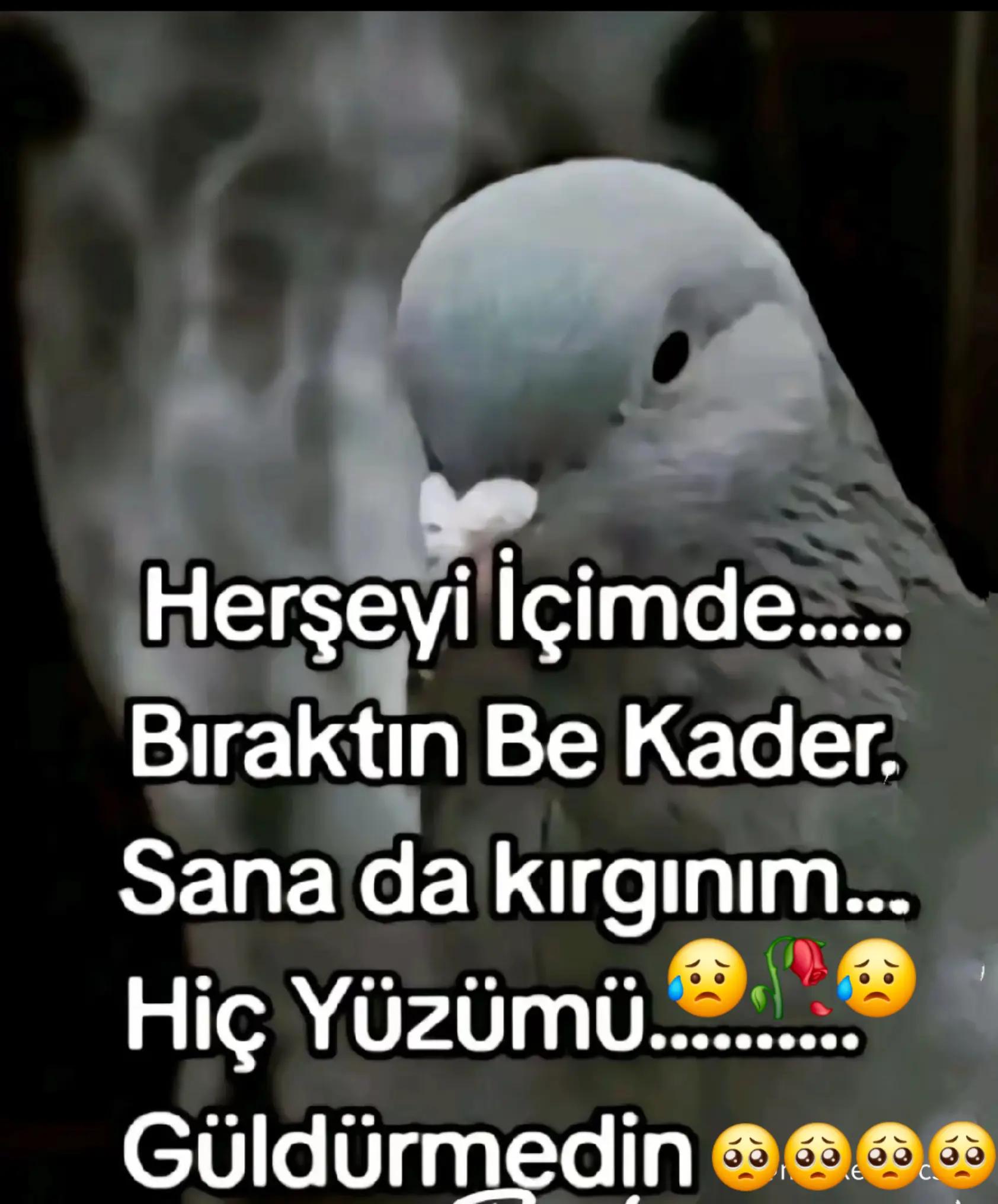 @{♤&♧}😭(HASRETİM😥SANA😭)