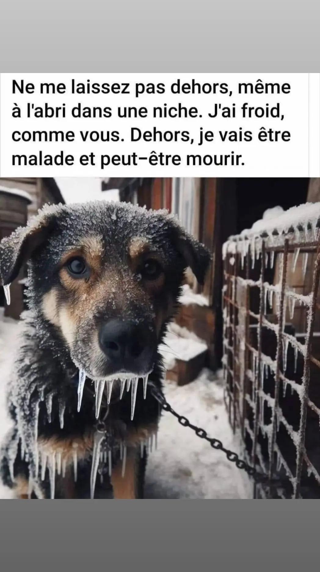 @Antoine frau