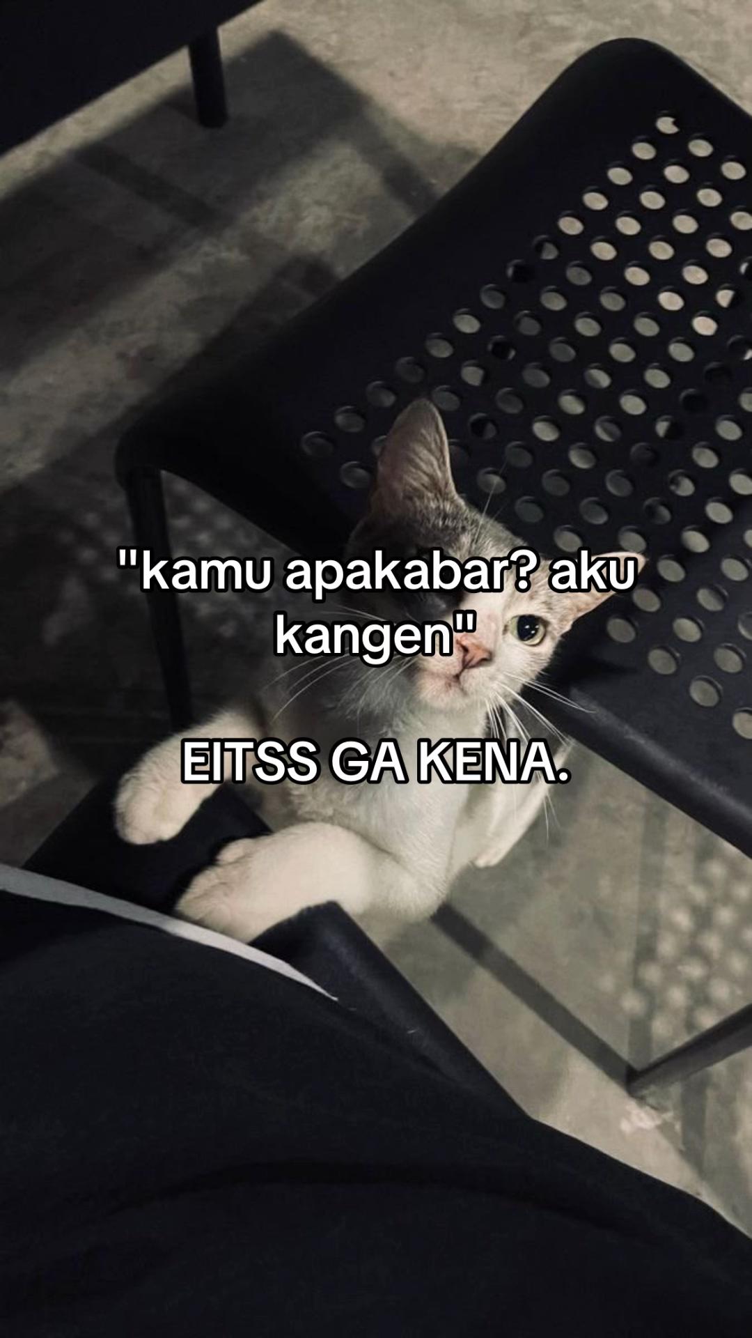 @bil.ight