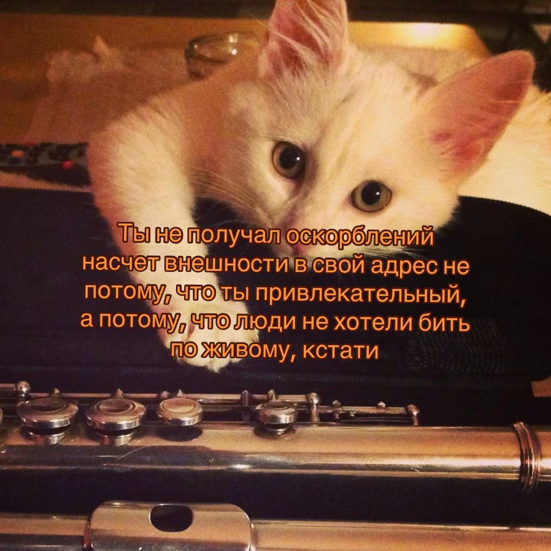 @Нытик