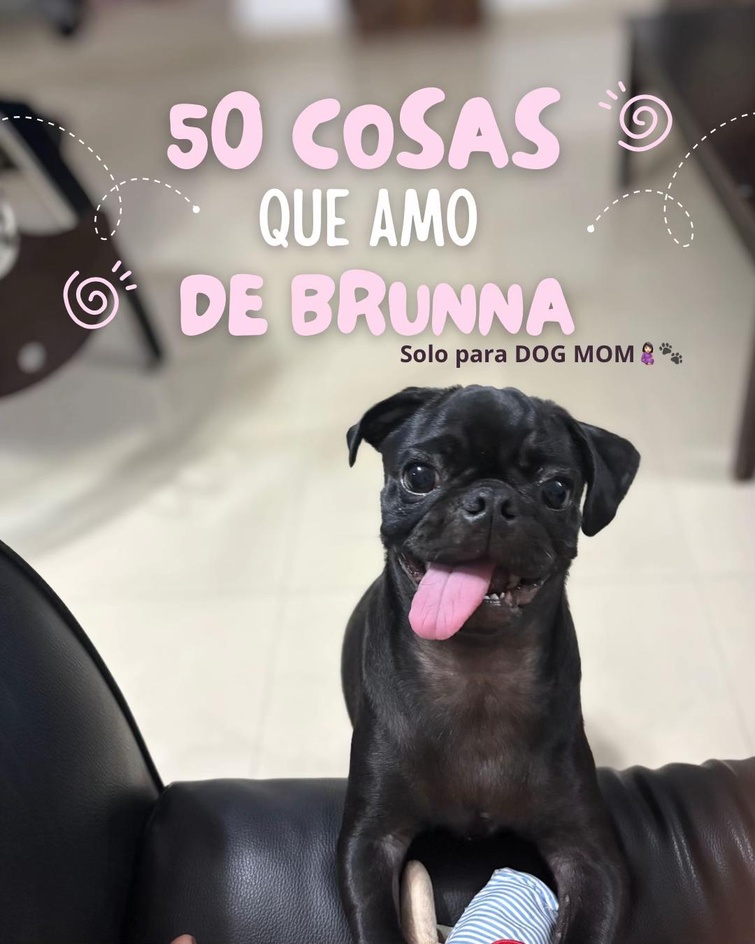 @BRUNNA PUG | PET LIFESTYLE 🐾