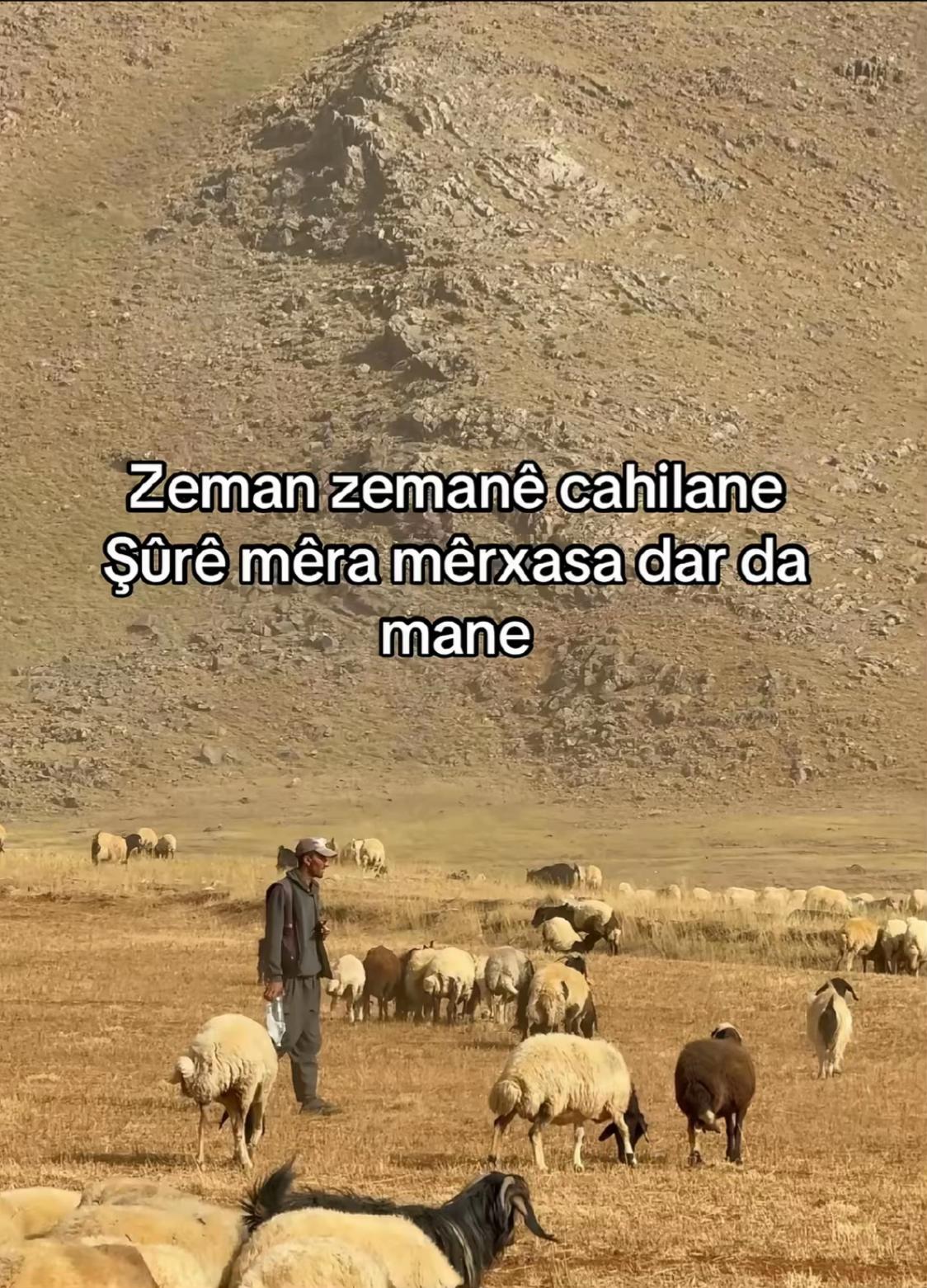 @𝐌𝐊 12✪