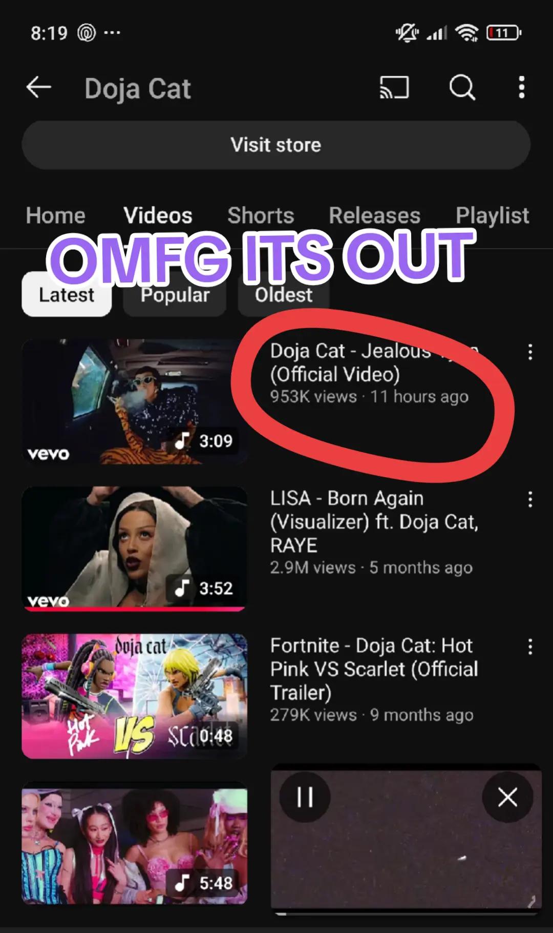 @brawlcatt