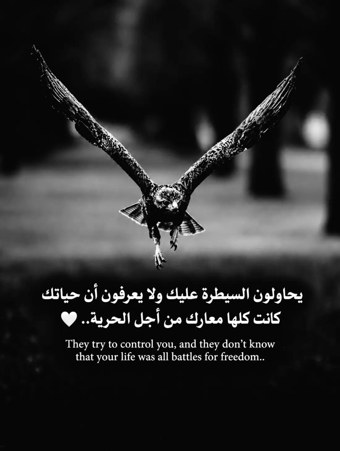 @𓆩🐺𝑾𝒂𝒍𝒆𝒅 𝑩𝒆𝒍𝒂𝒊𝒅𓆪
