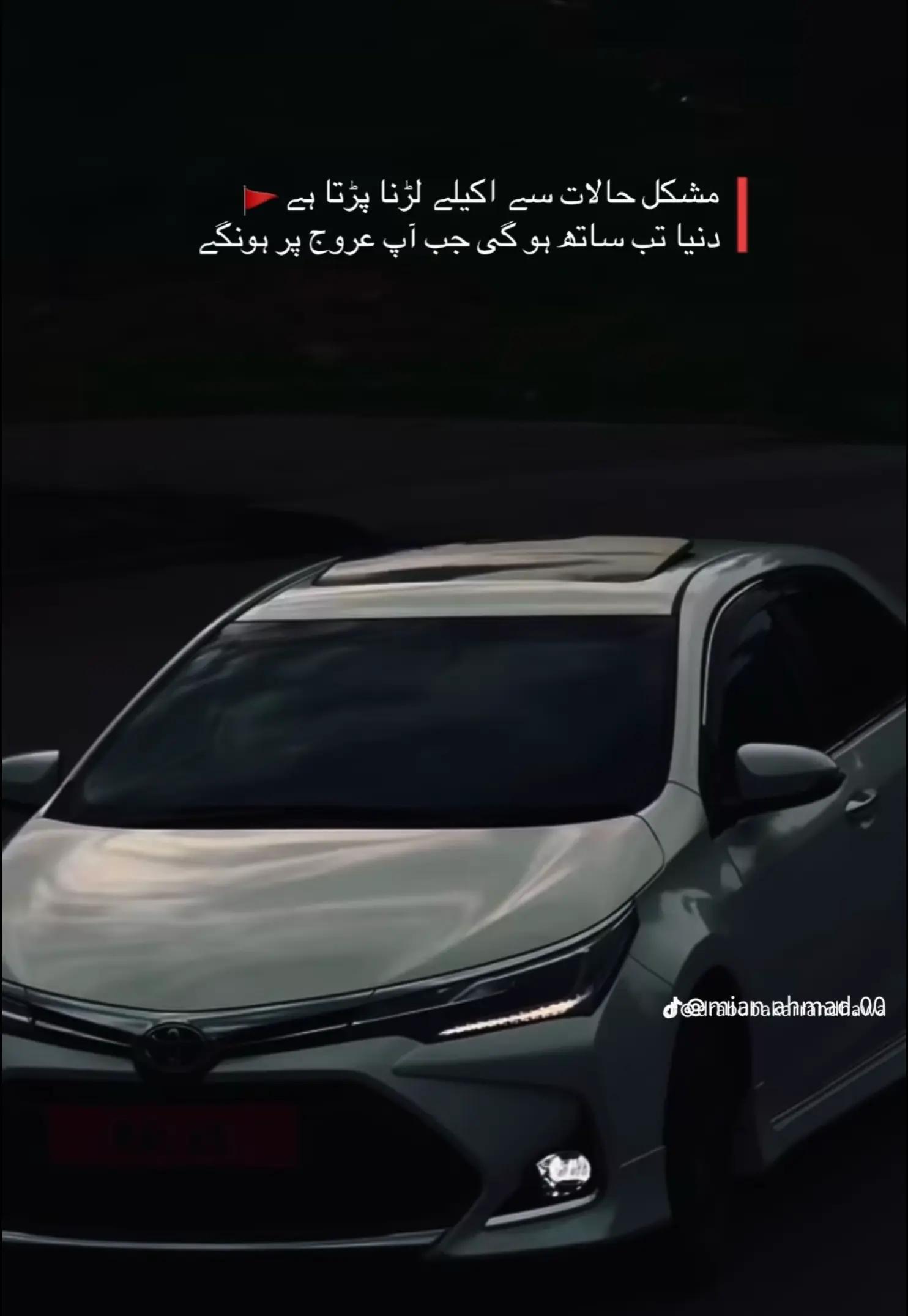 @Mehar Majo🇵🇰