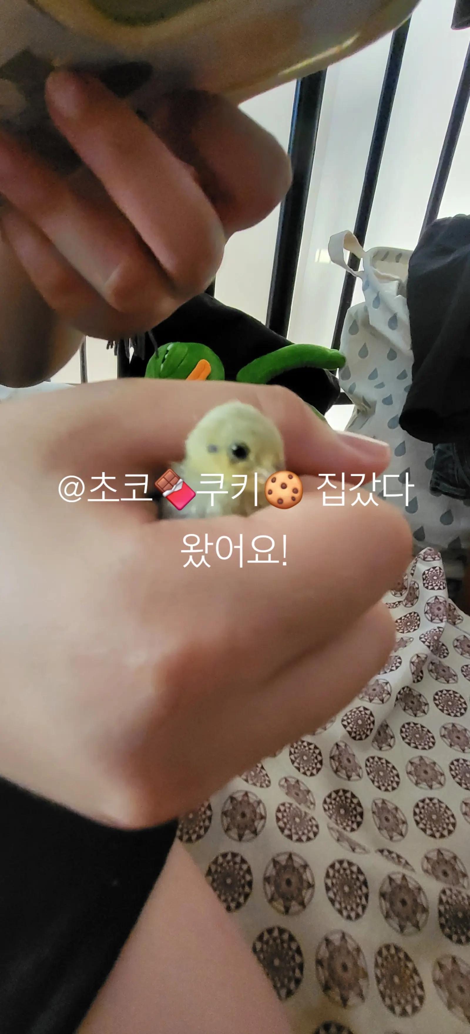 @쿠먕