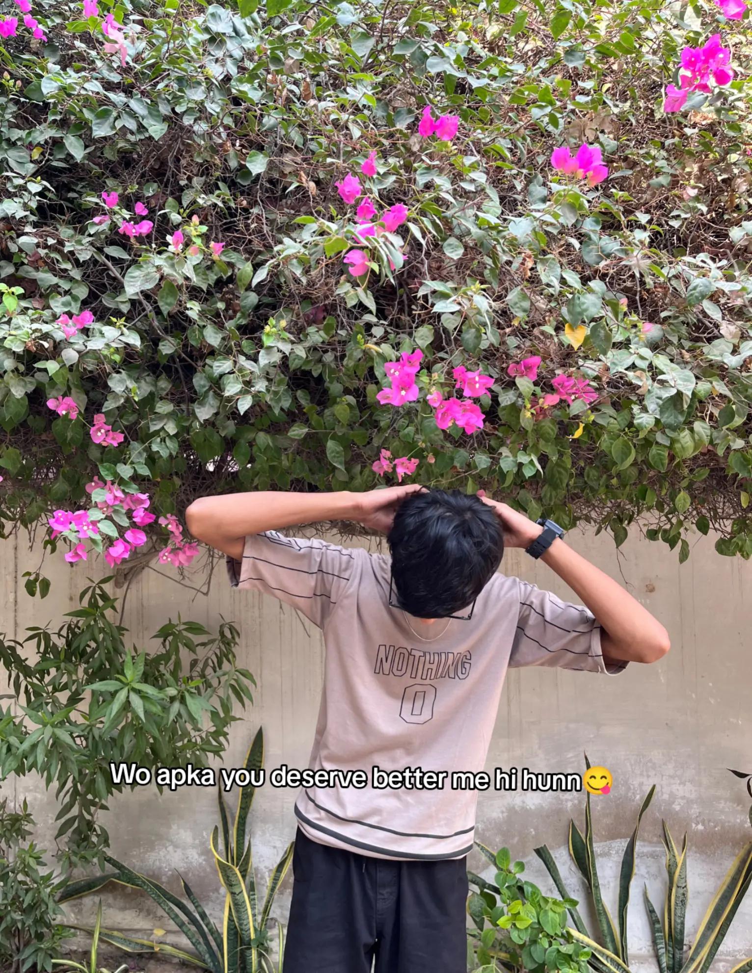 @zaii