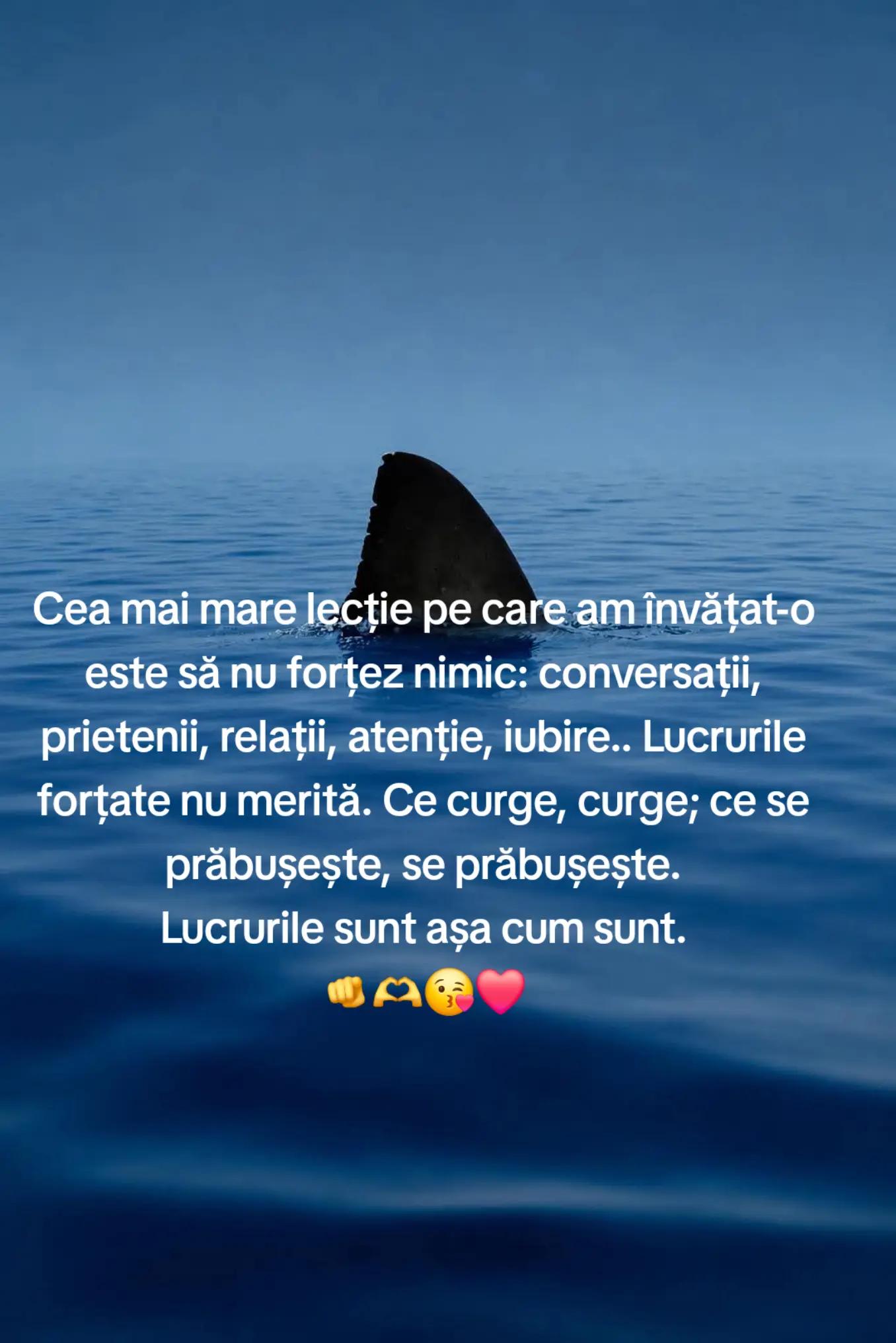 @DarioMario