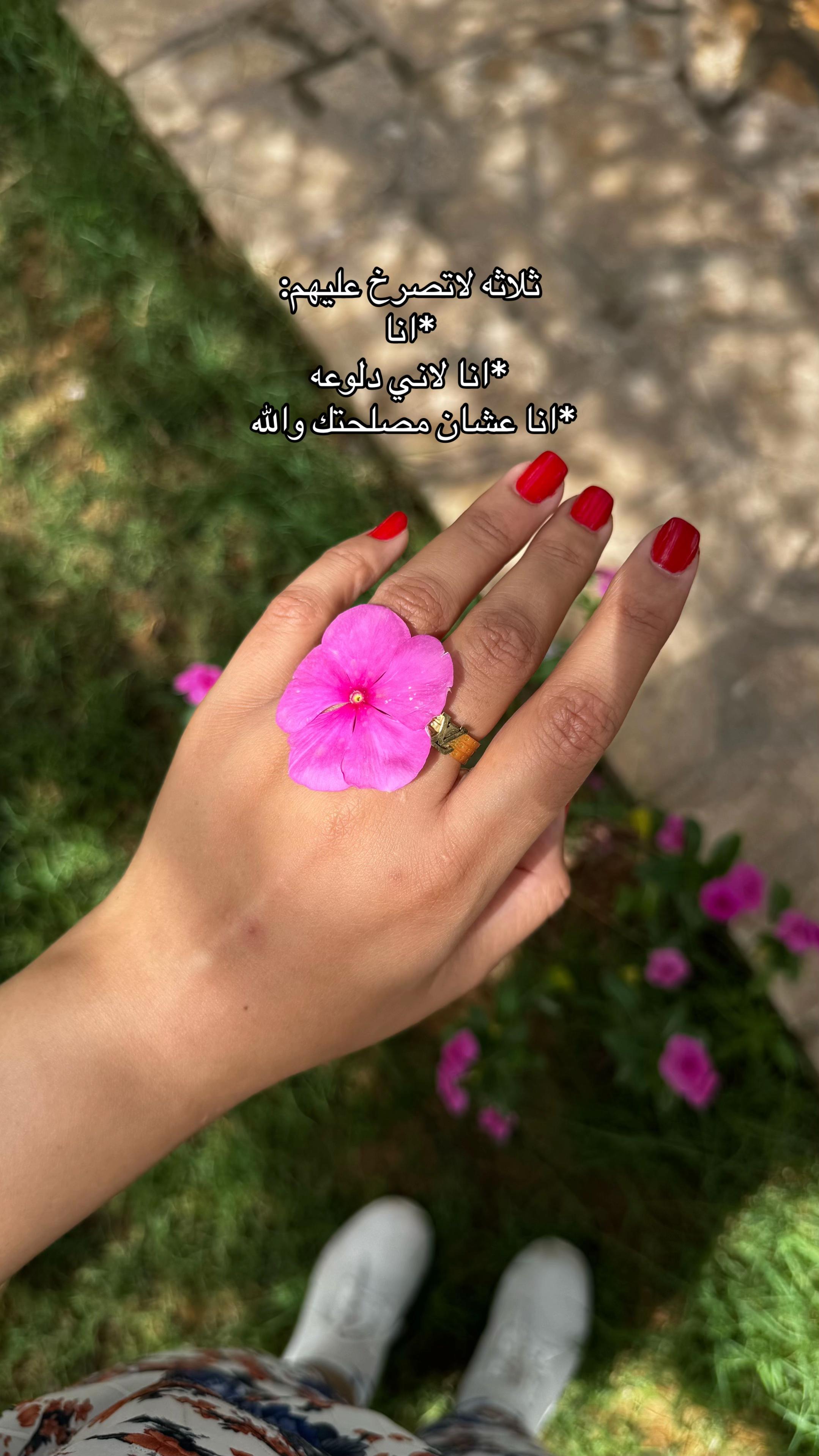 @هيونه 🌸