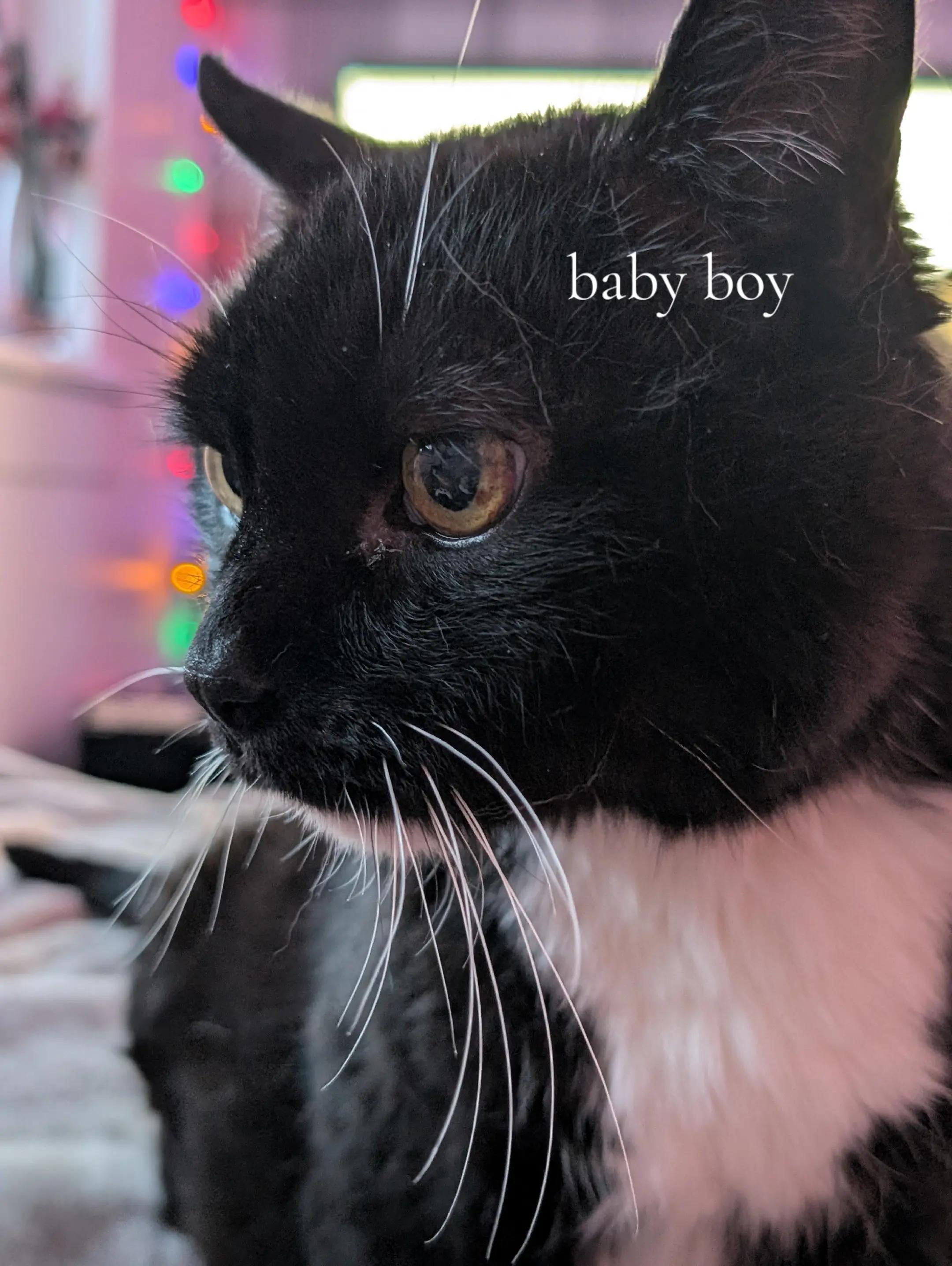 @Plushie Pete