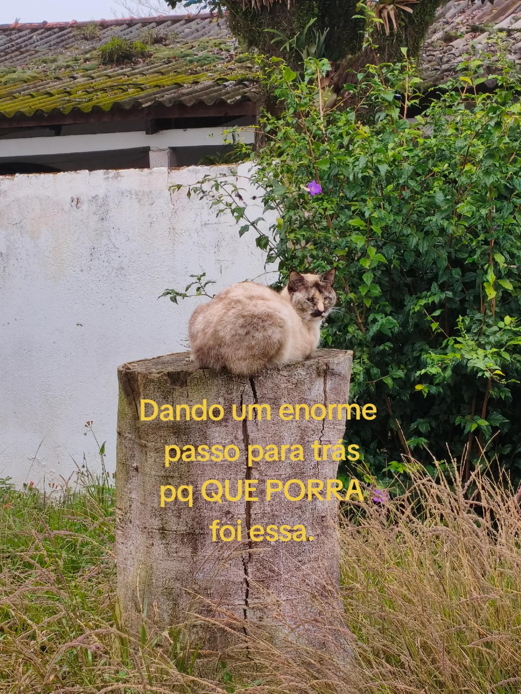 @É o Lz 🥑