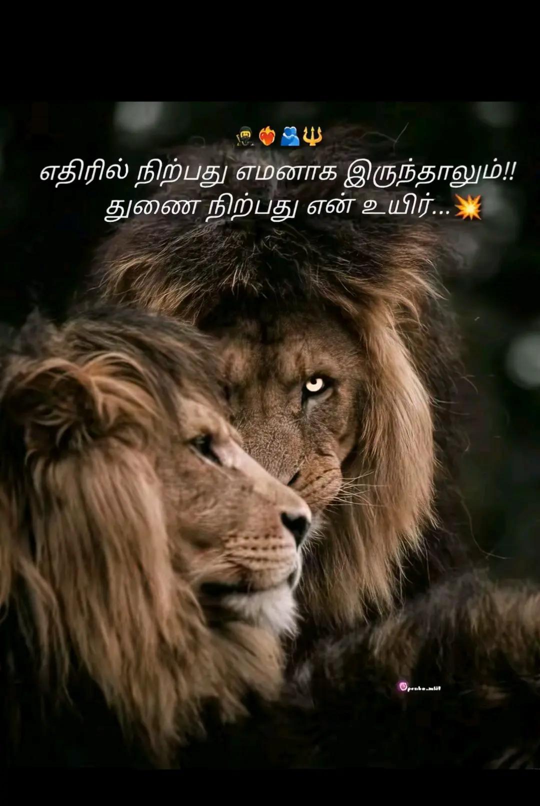 @theepa___kutty7