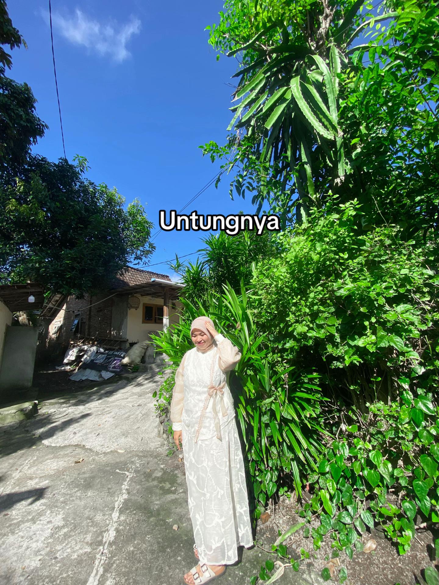 @Sinta Mia
