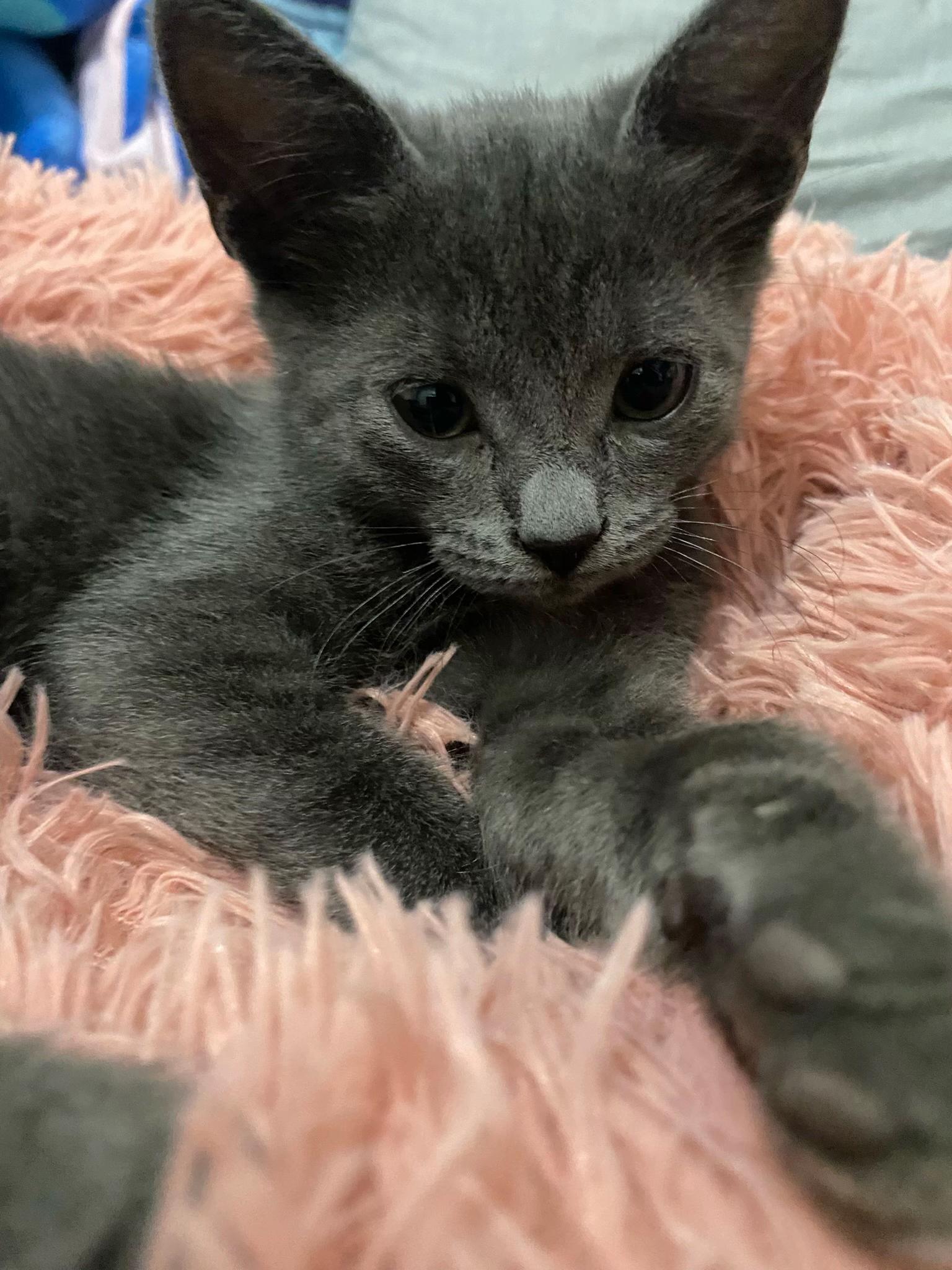 @ćeba🧸🎀