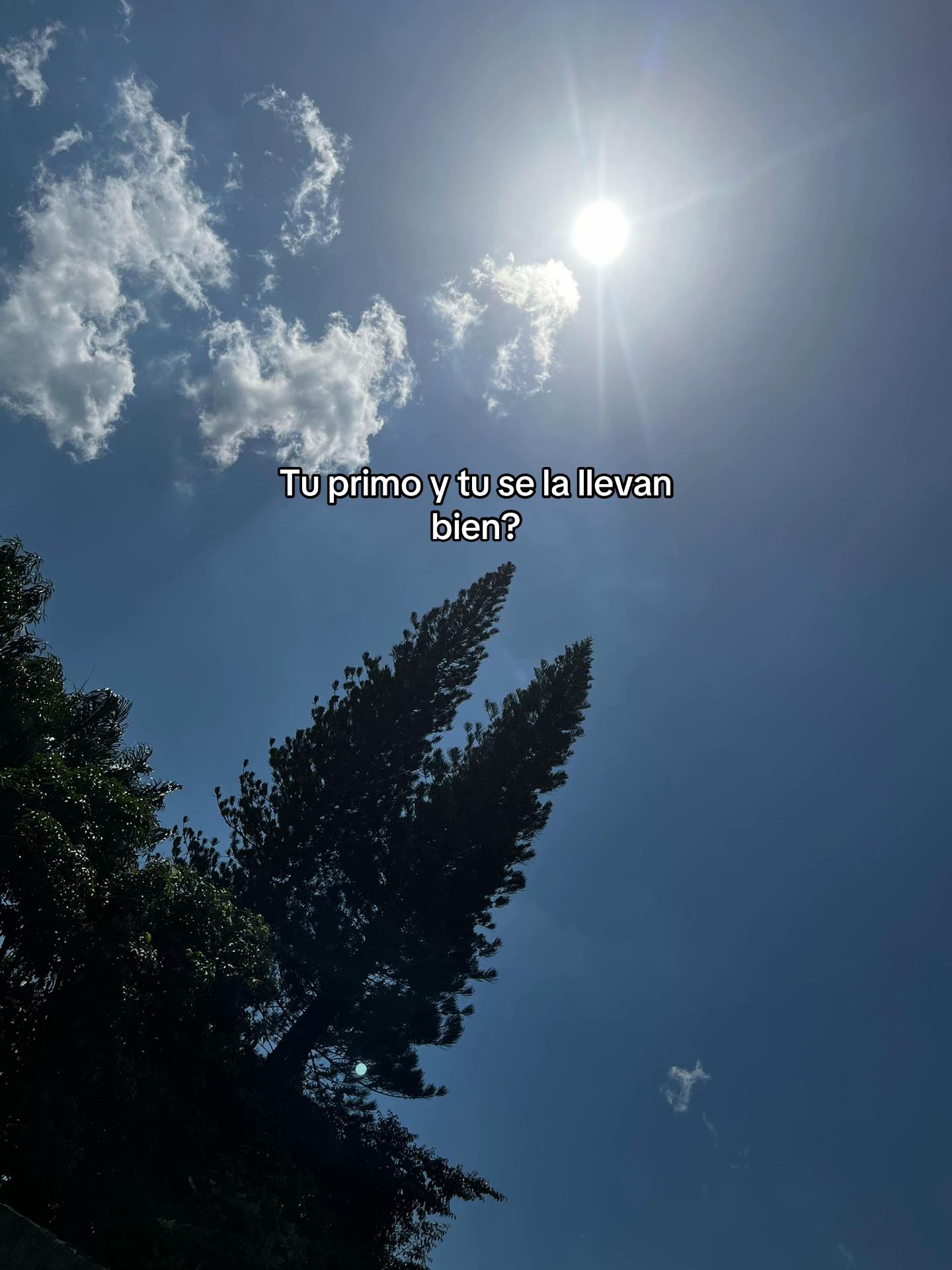 @ℒ𝓊𝒾𝓈 ℛ𝒾𝒸𝒶𝓇𝒹ℴ 🫅🏻