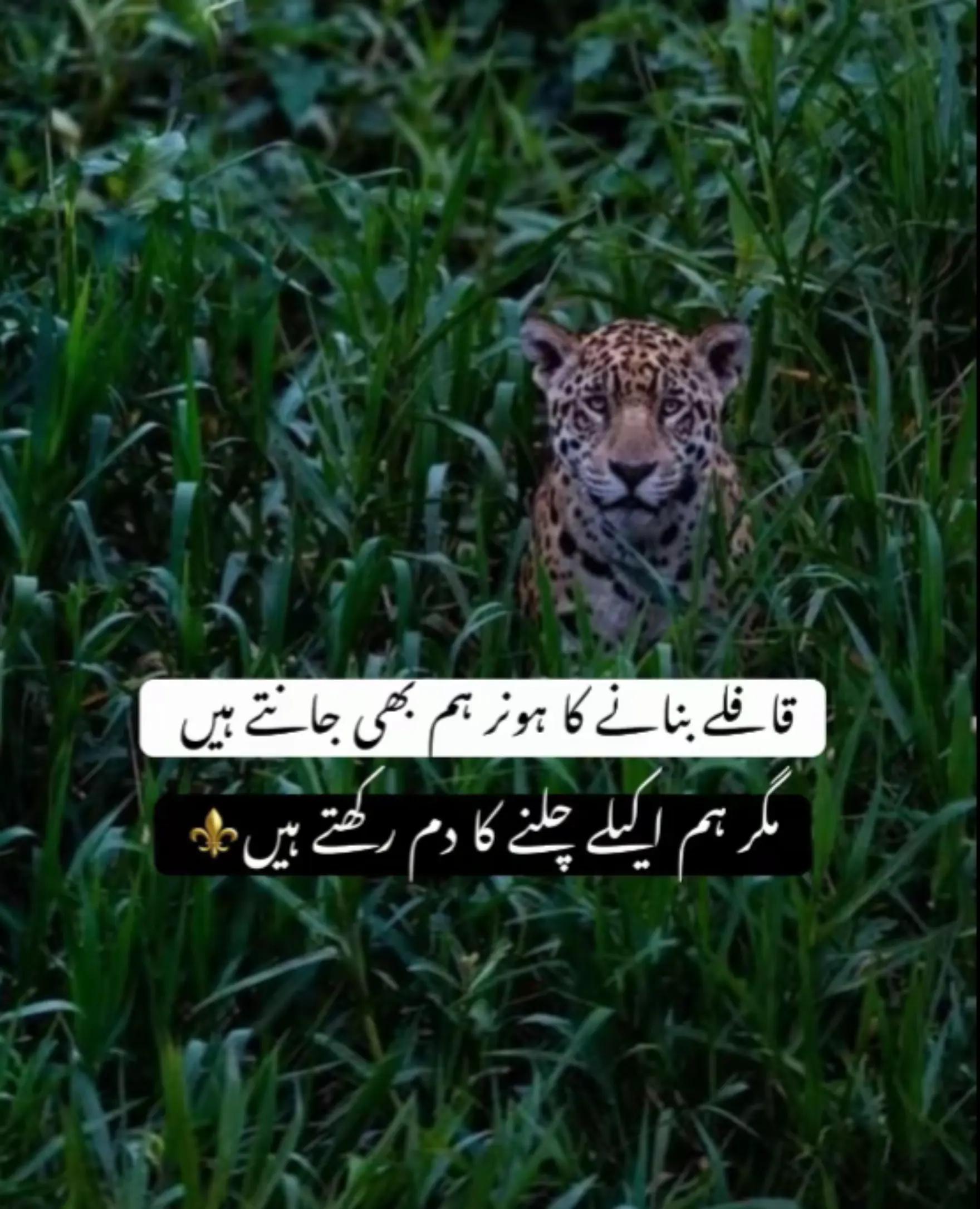 @Darwaish jutt