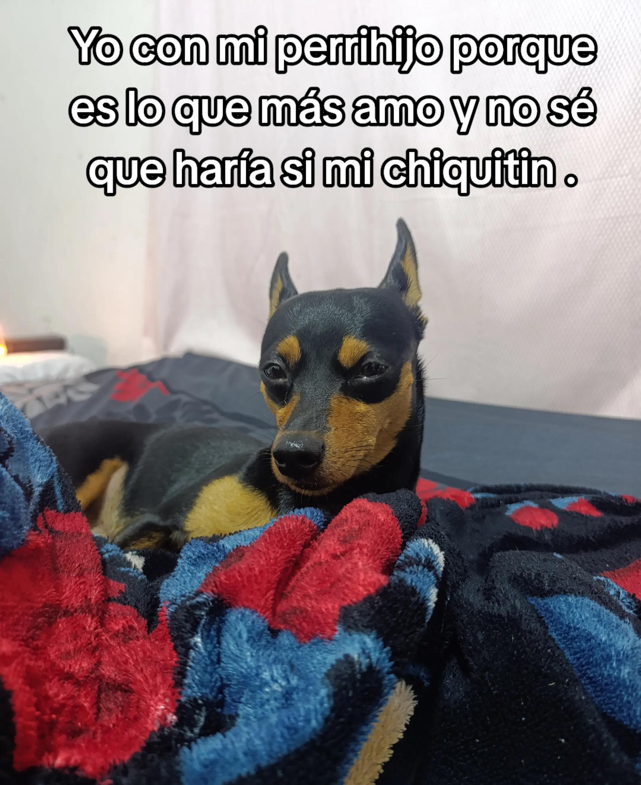 @CANTOR🦇