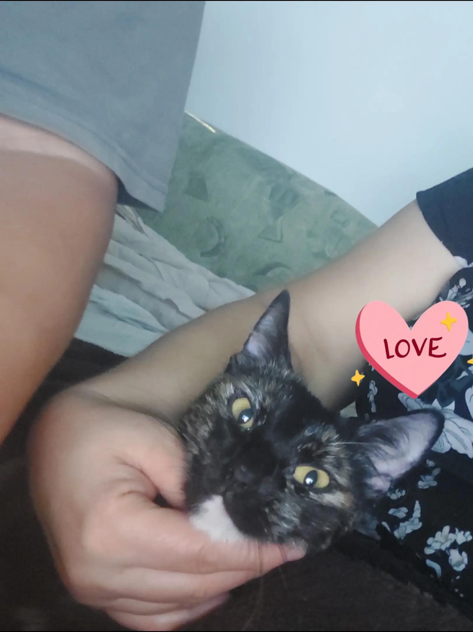 @Iveta.b.🩷🇨🇿🥹