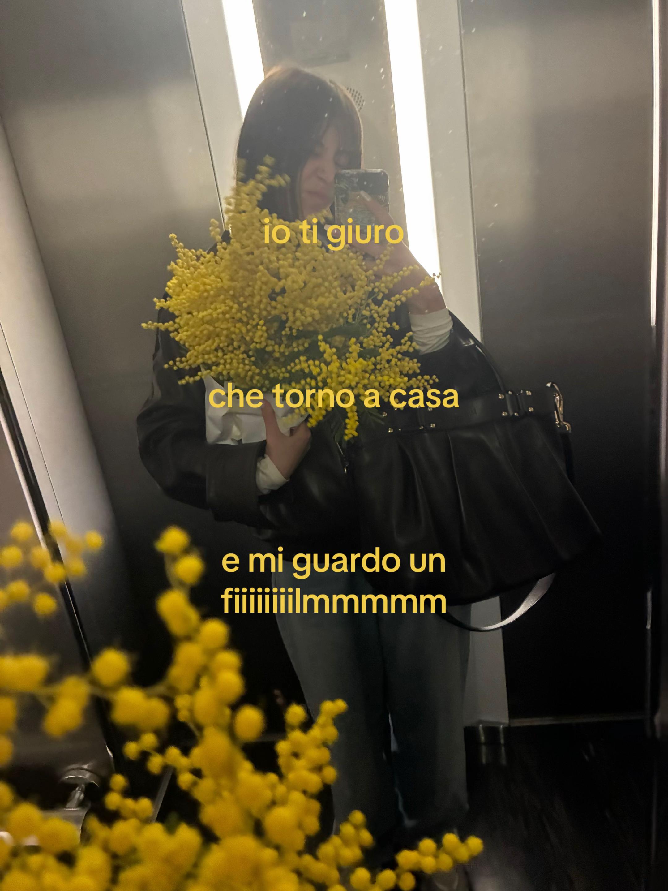 @michi🐈⬛