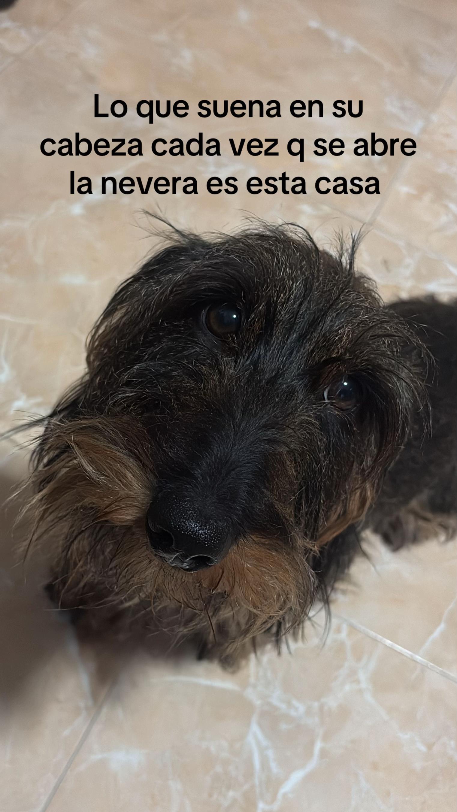@Olalla B