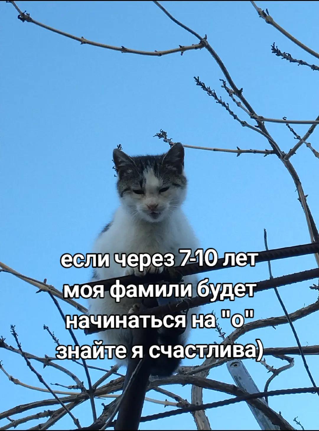 @лирика💮