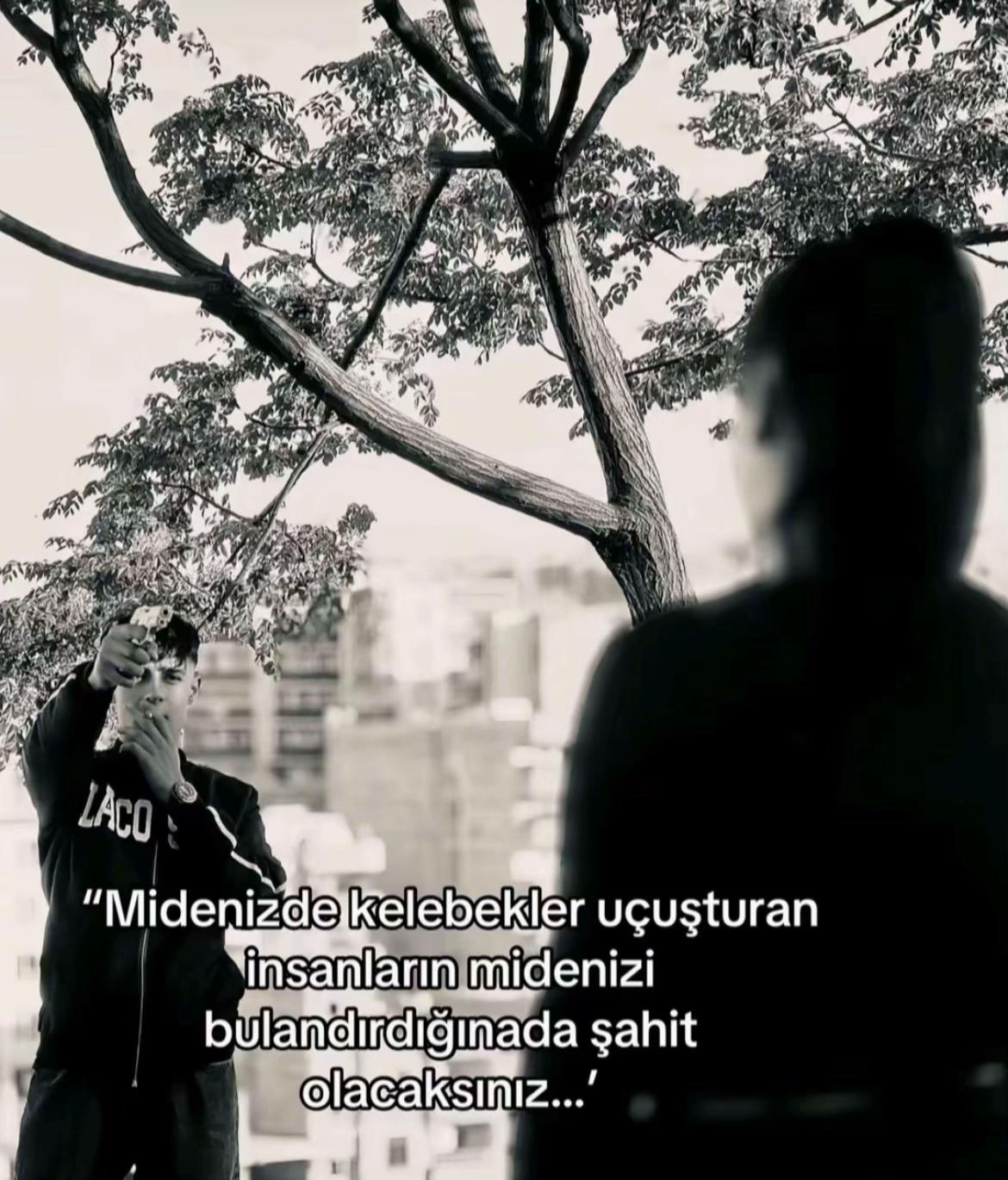 @berkaydulger