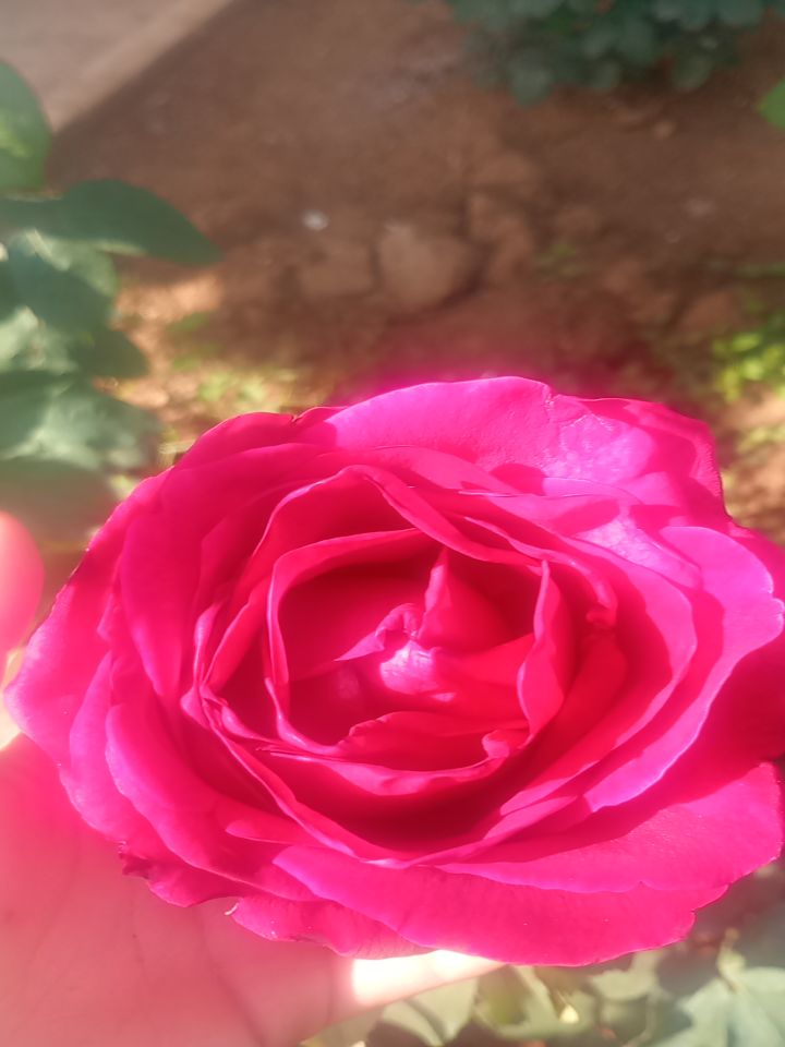 @krasimir Kostadinov68