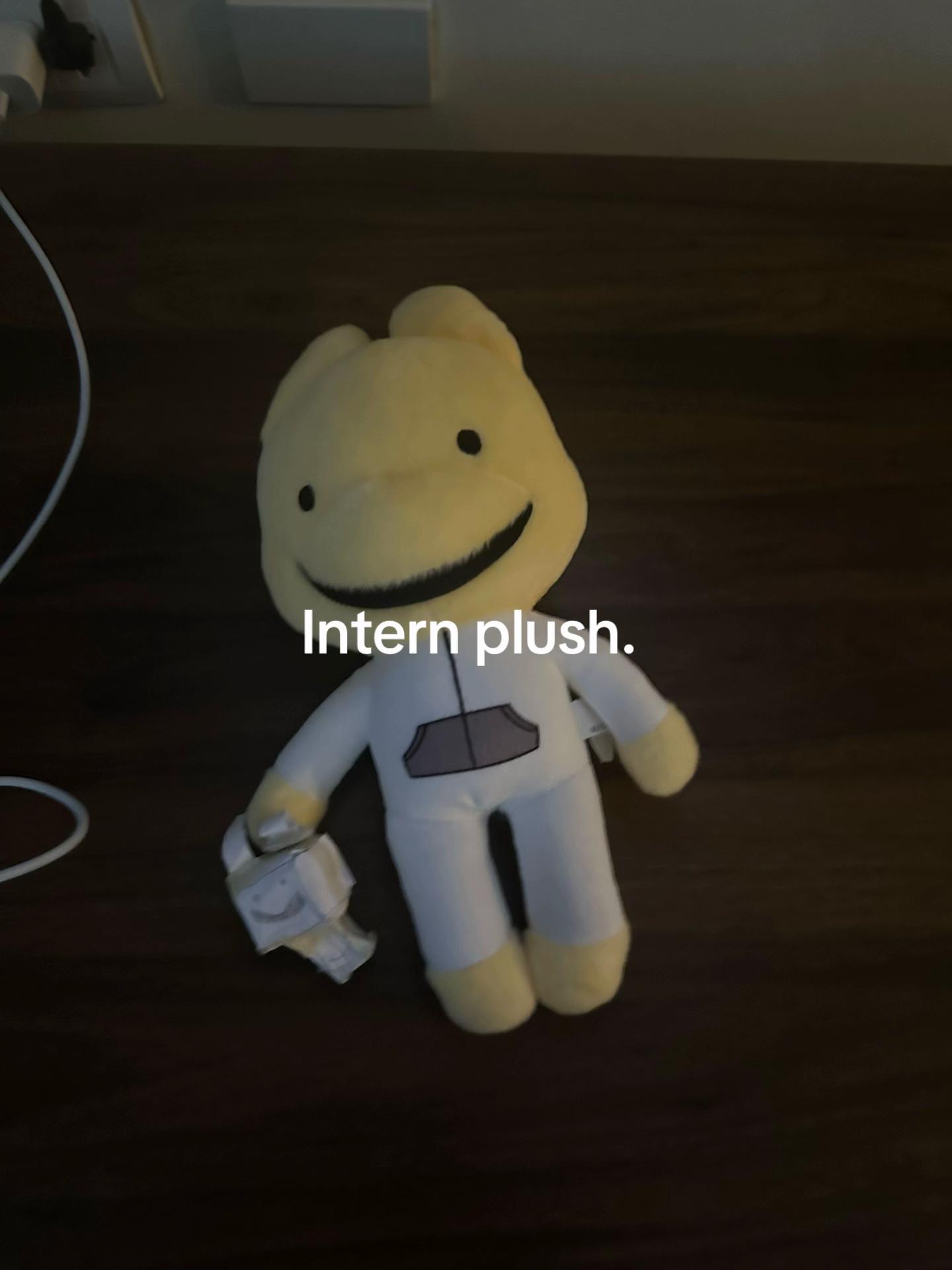 @❧✮✚✙intern✙✚✮☙
