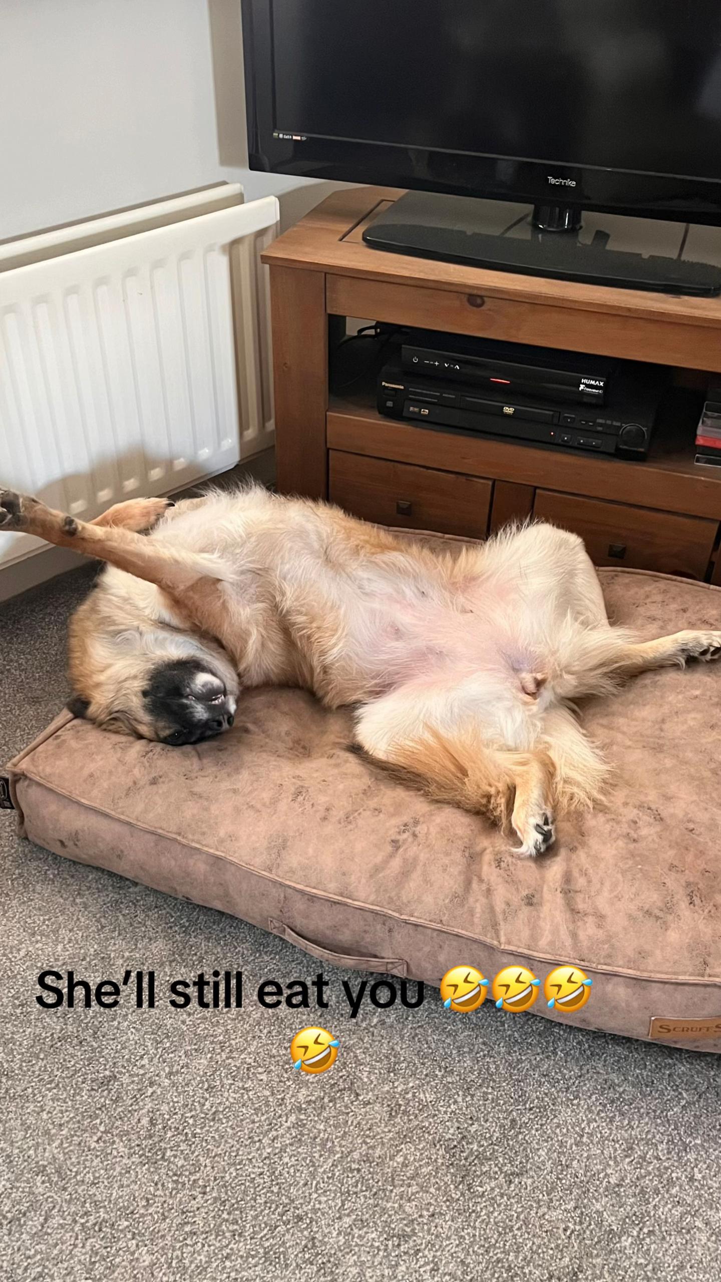 @Lincolnshire Lassie 20