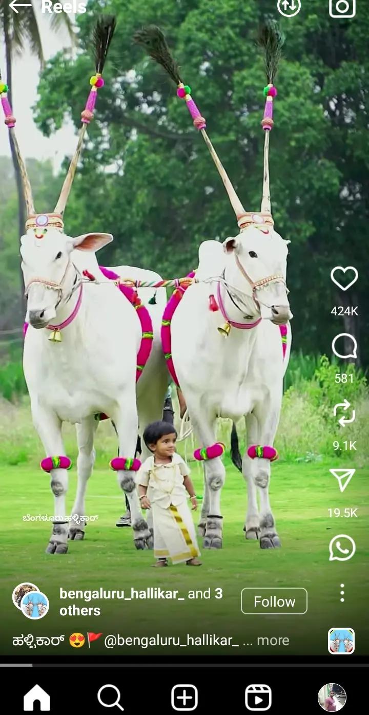 @Sayed karnatak